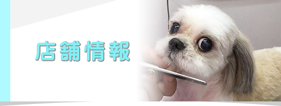店舗紹介